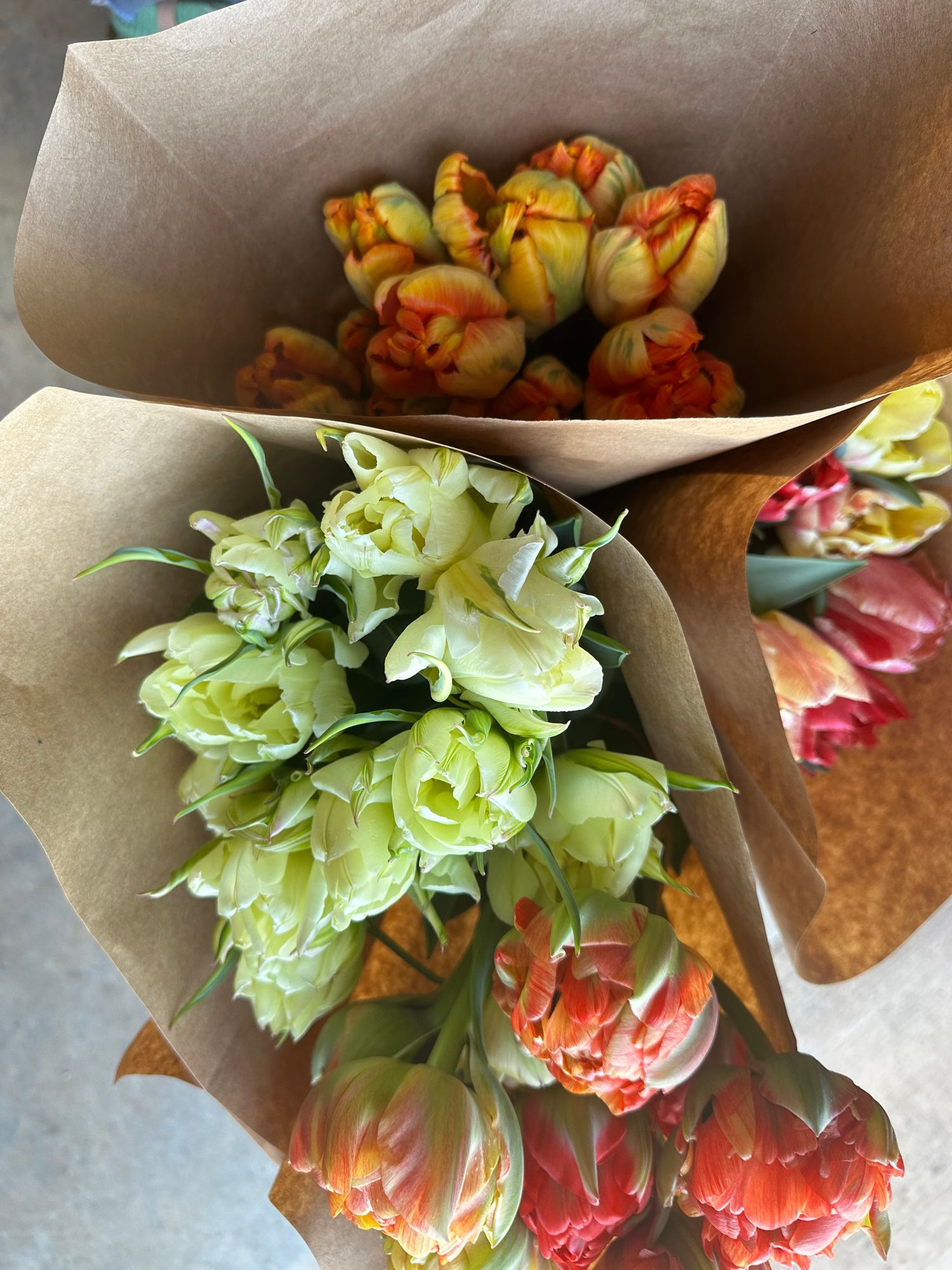 Growers Choice Bucket - Tulips & Daffodils
