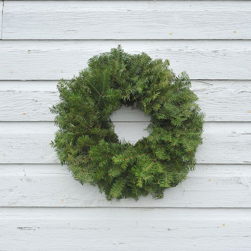 Plain Balsam Fir Wreath on 12" Wire Frame