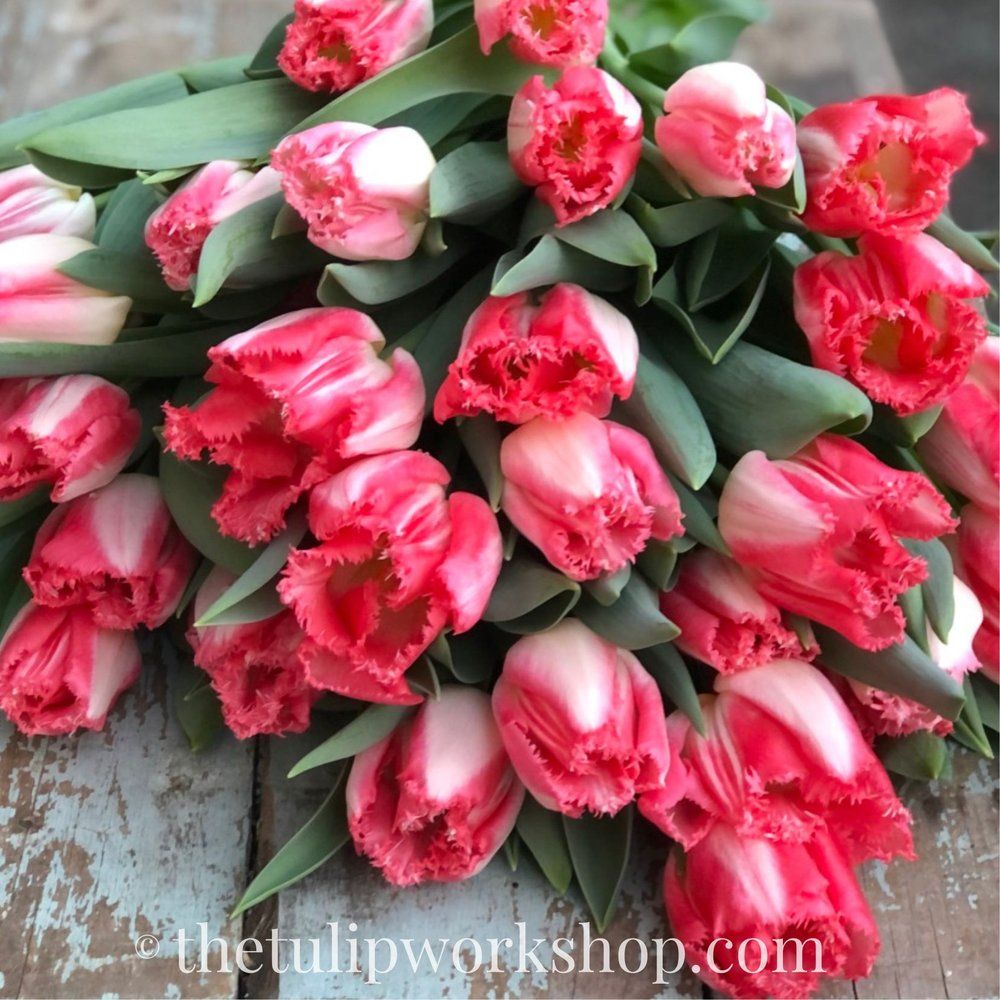 The Flower Cart Rooted Farmers