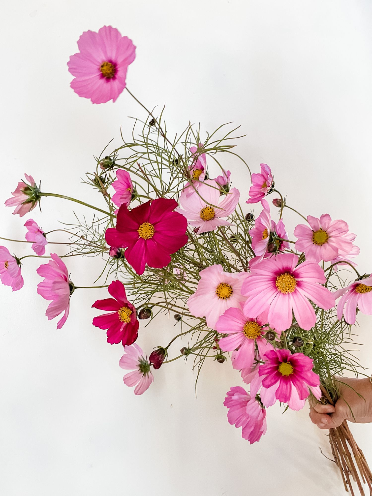 COSMOS