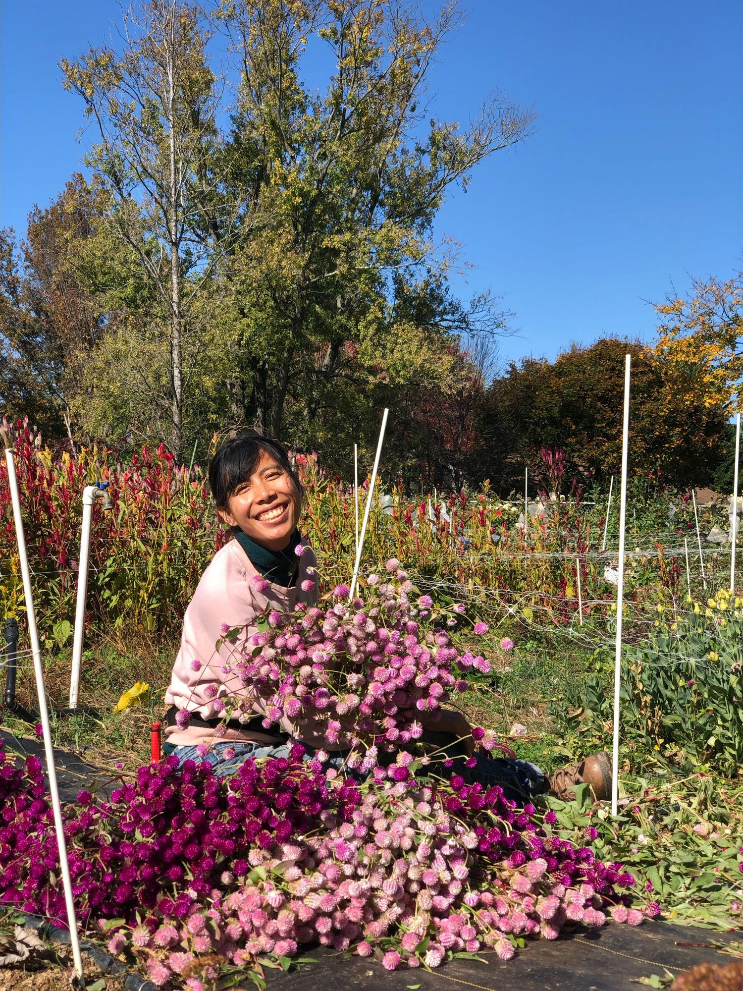Enchanted Flower Farm Logo