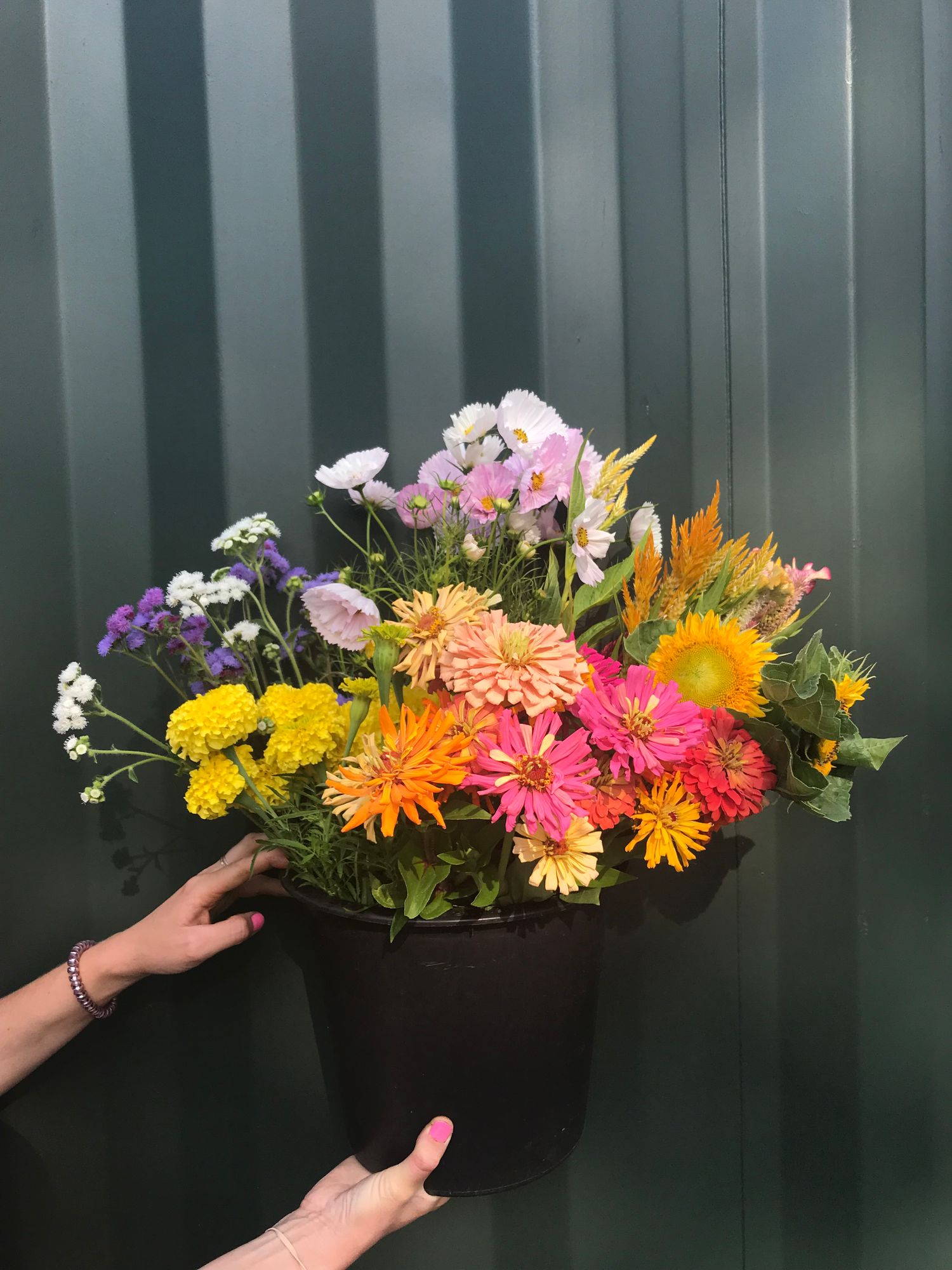 Growers Choice DIY Bucket
