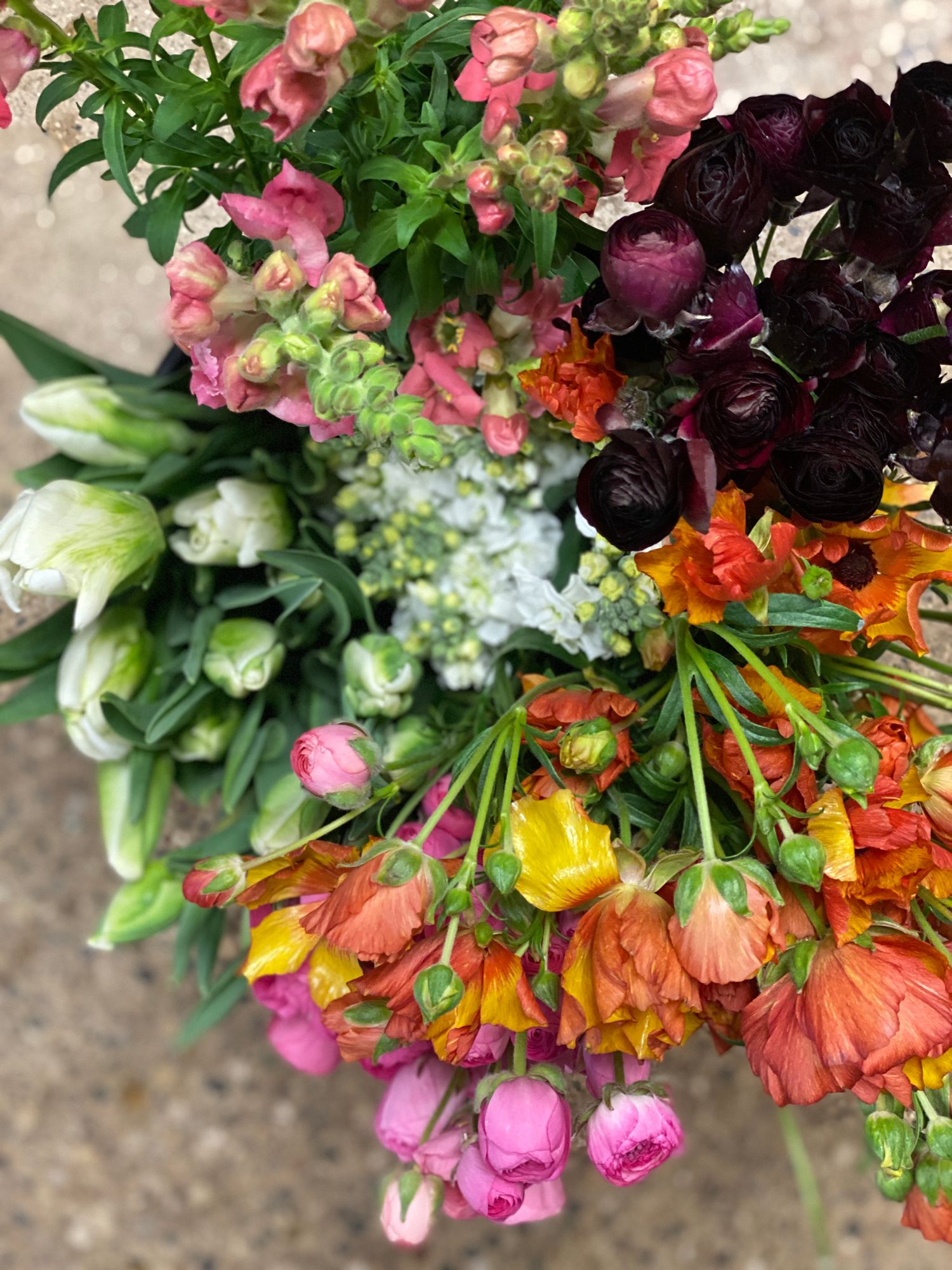 Growers Choice Bucket