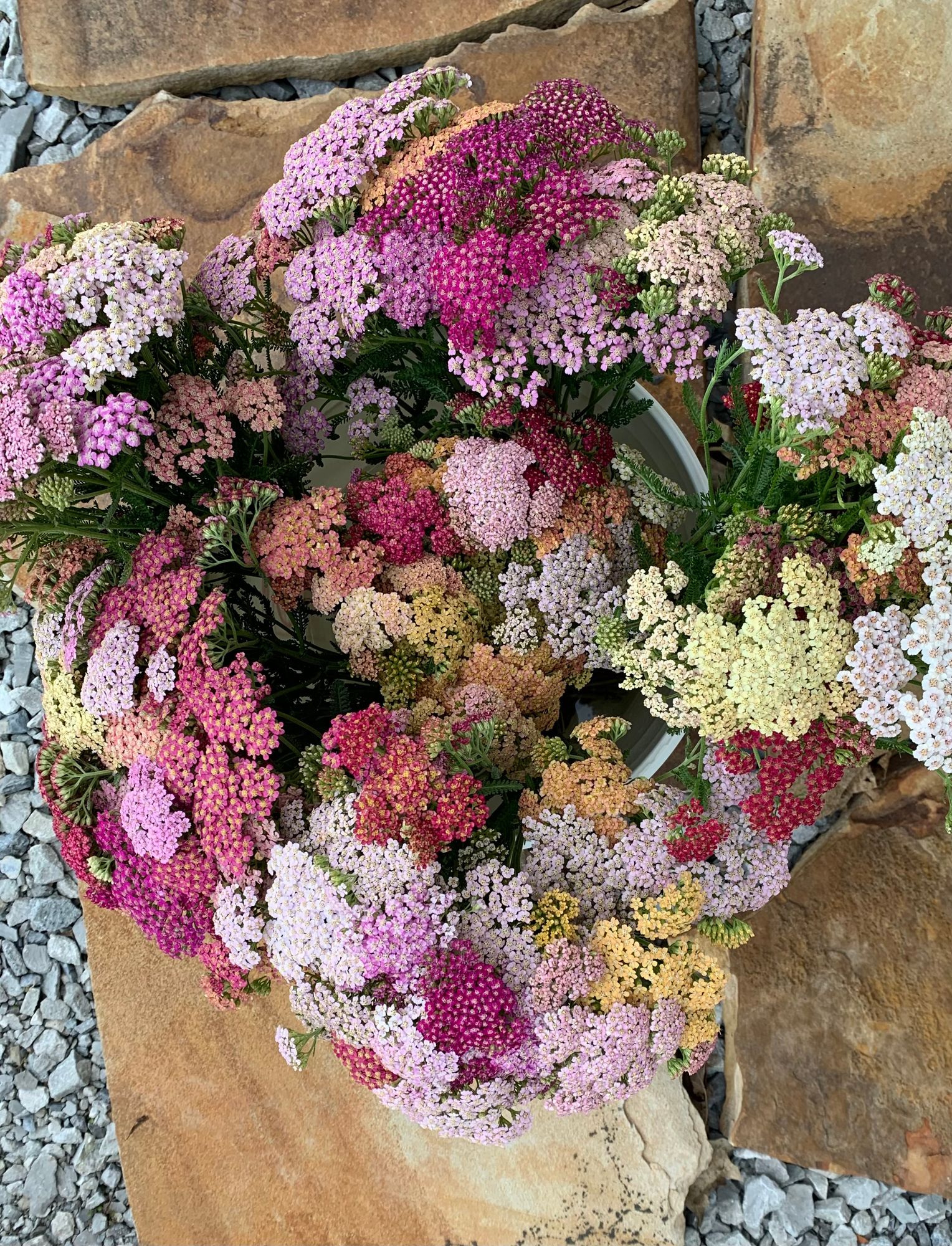 Flowers On Hatts Hill Logo