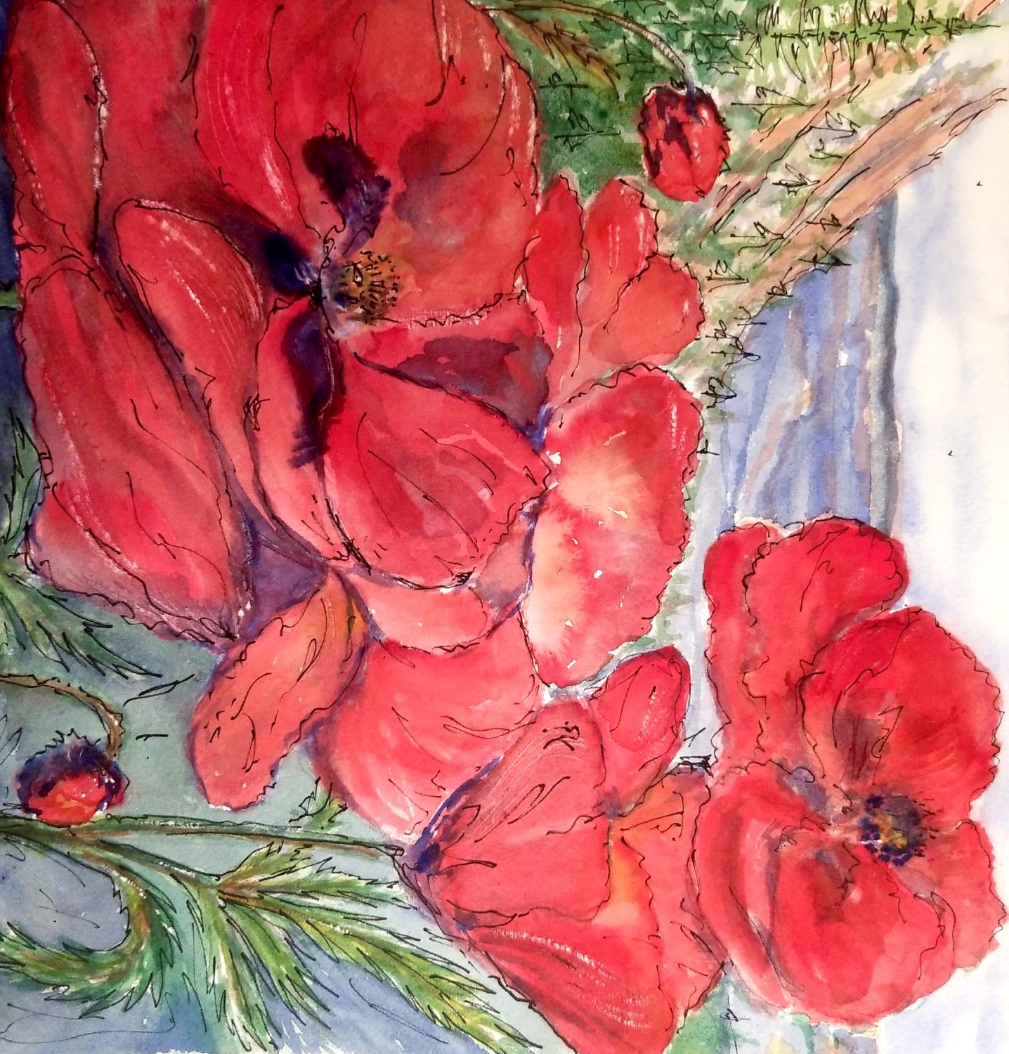 Poppies with sky background 