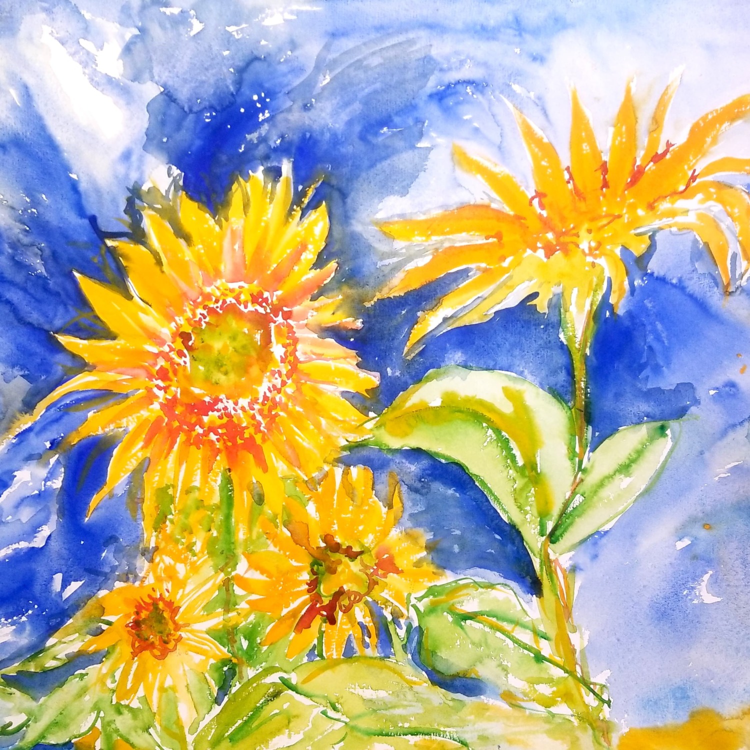 Blue Sky Sunflowers