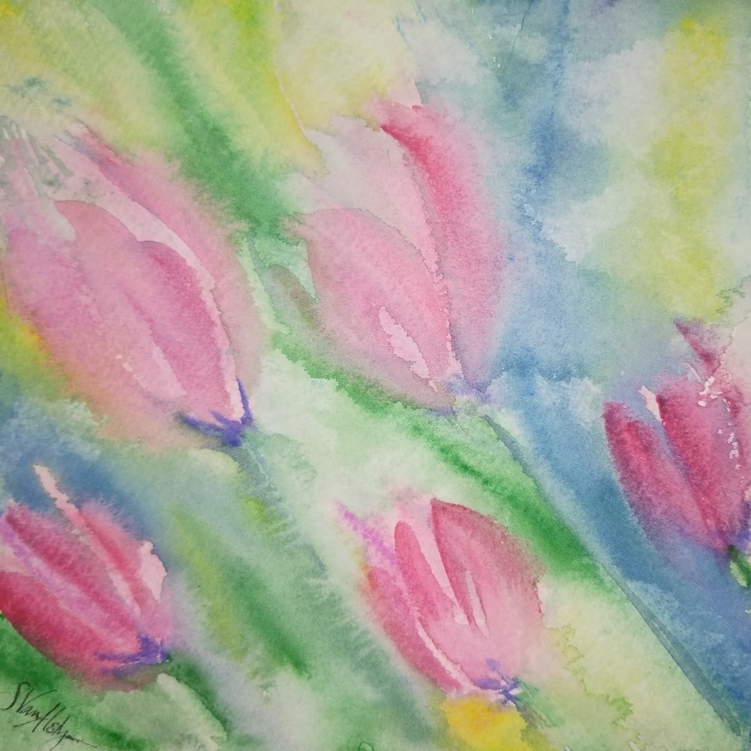 Tulips in the wind