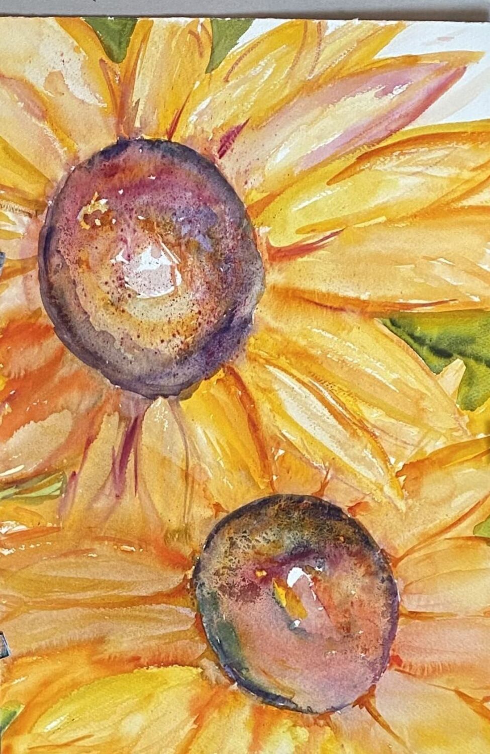 Sunflower Pair of twins