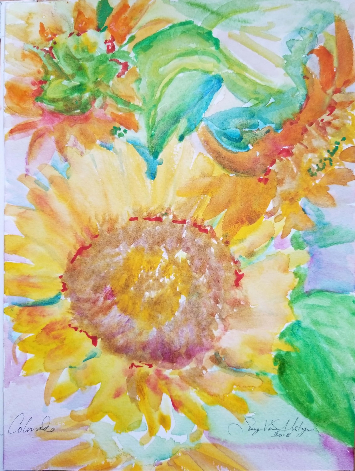 Sunflowers at play