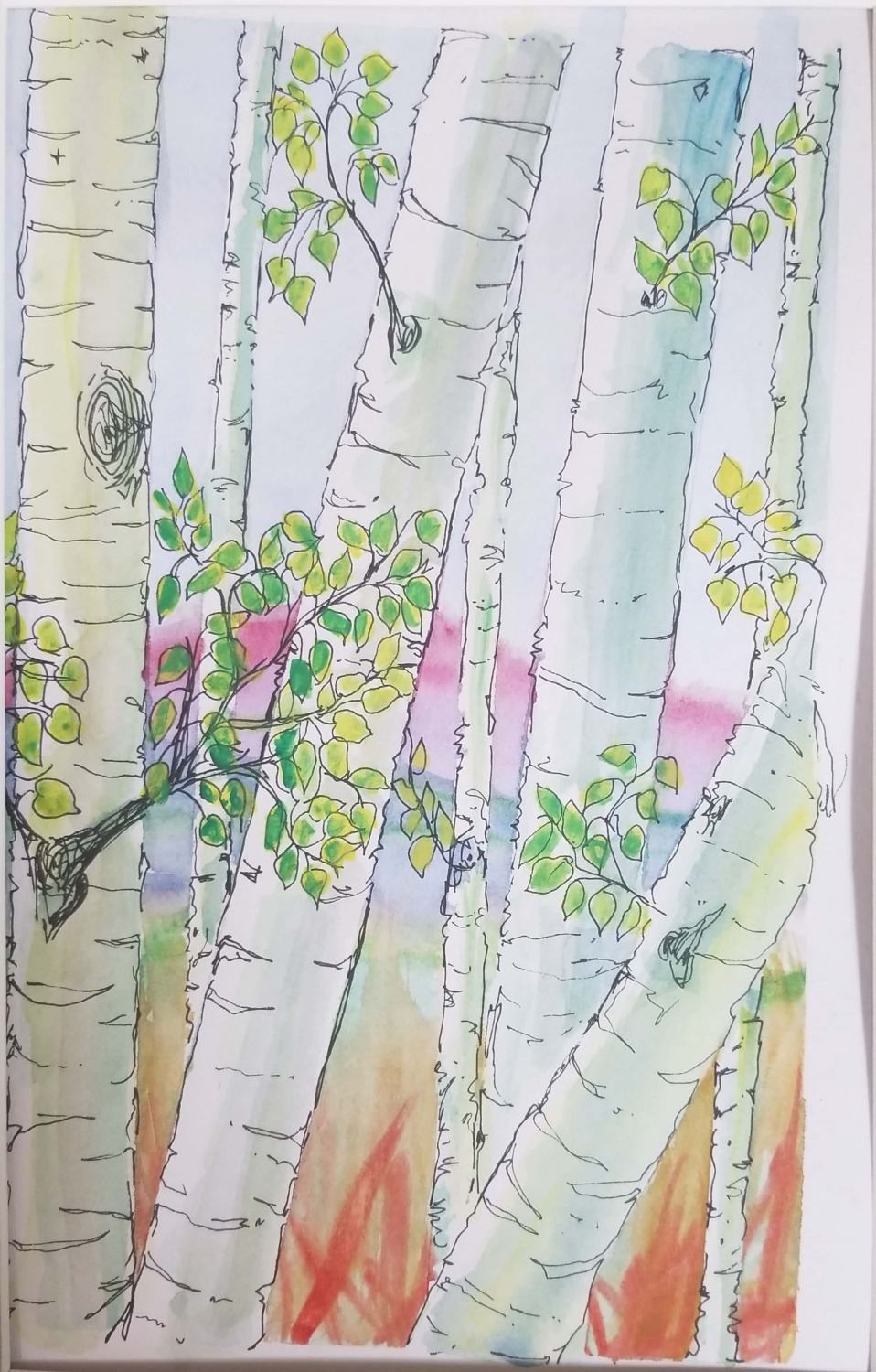 Thick Aspen Grove