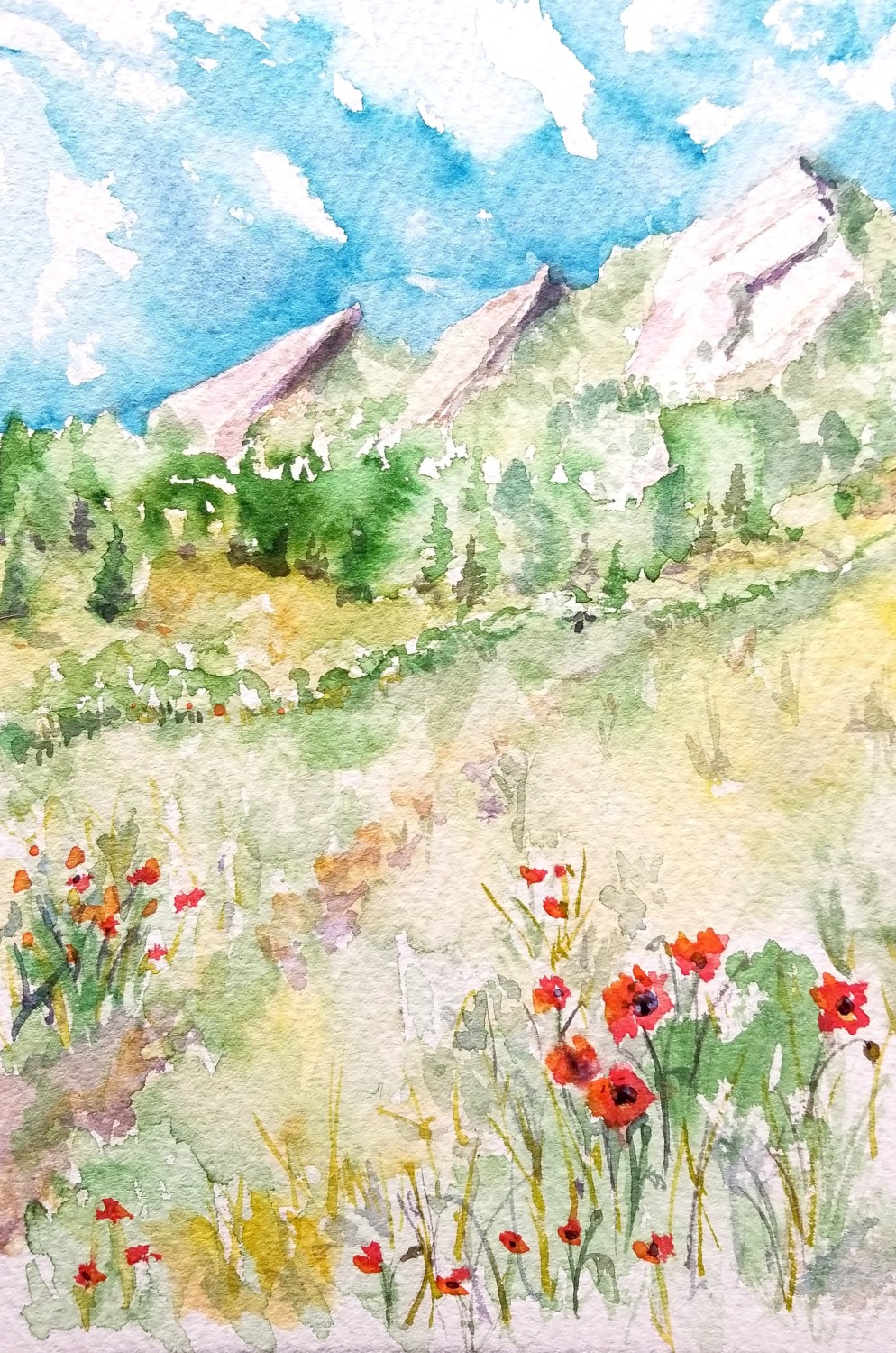 Boulder Summer with Poppies beside Chautauqua Trail