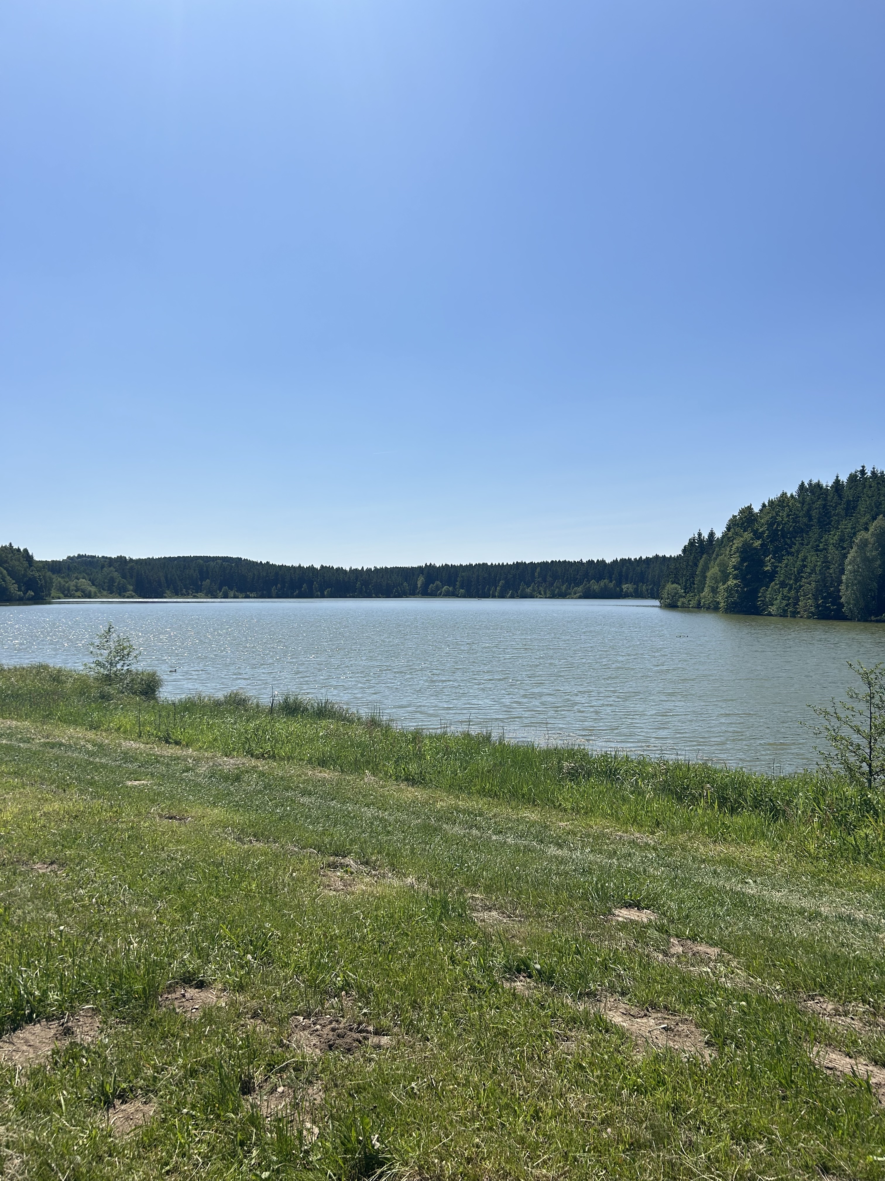 Rybník Medlov v létě