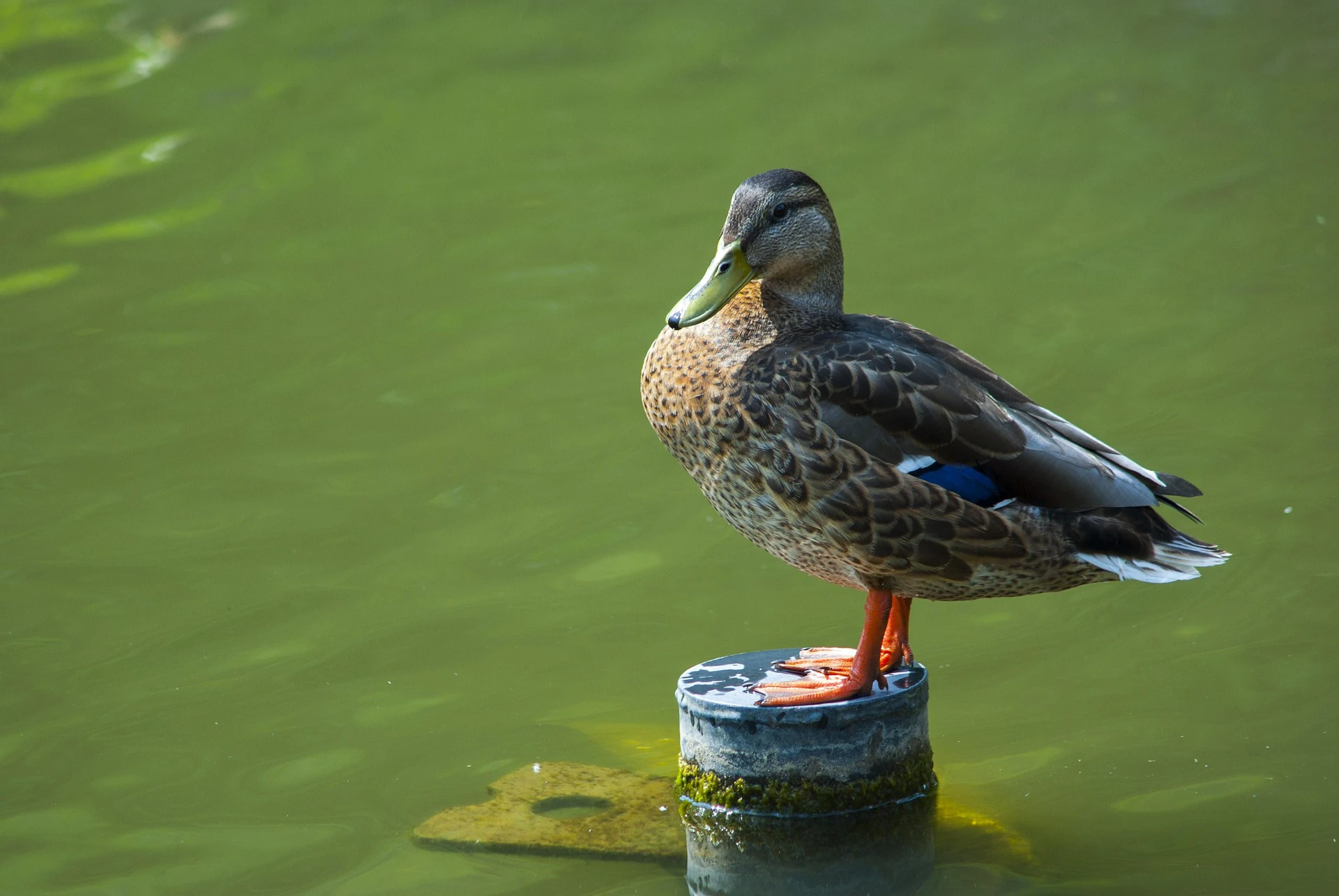 Okruh kolem Luhačovické přehrady