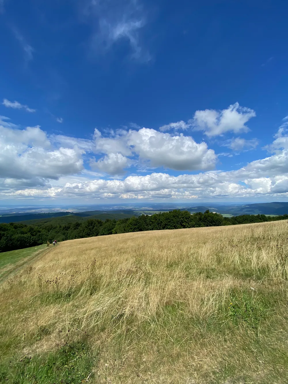Výhled z Velké Javořiny