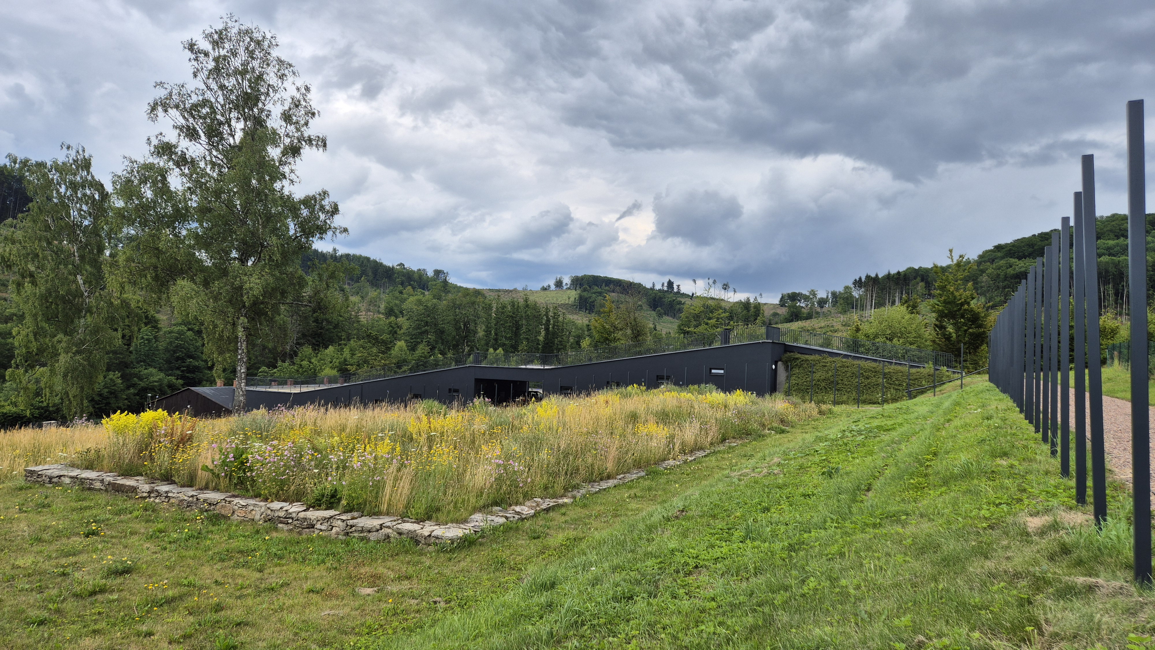 Památník holokaustu Romů a Sintů