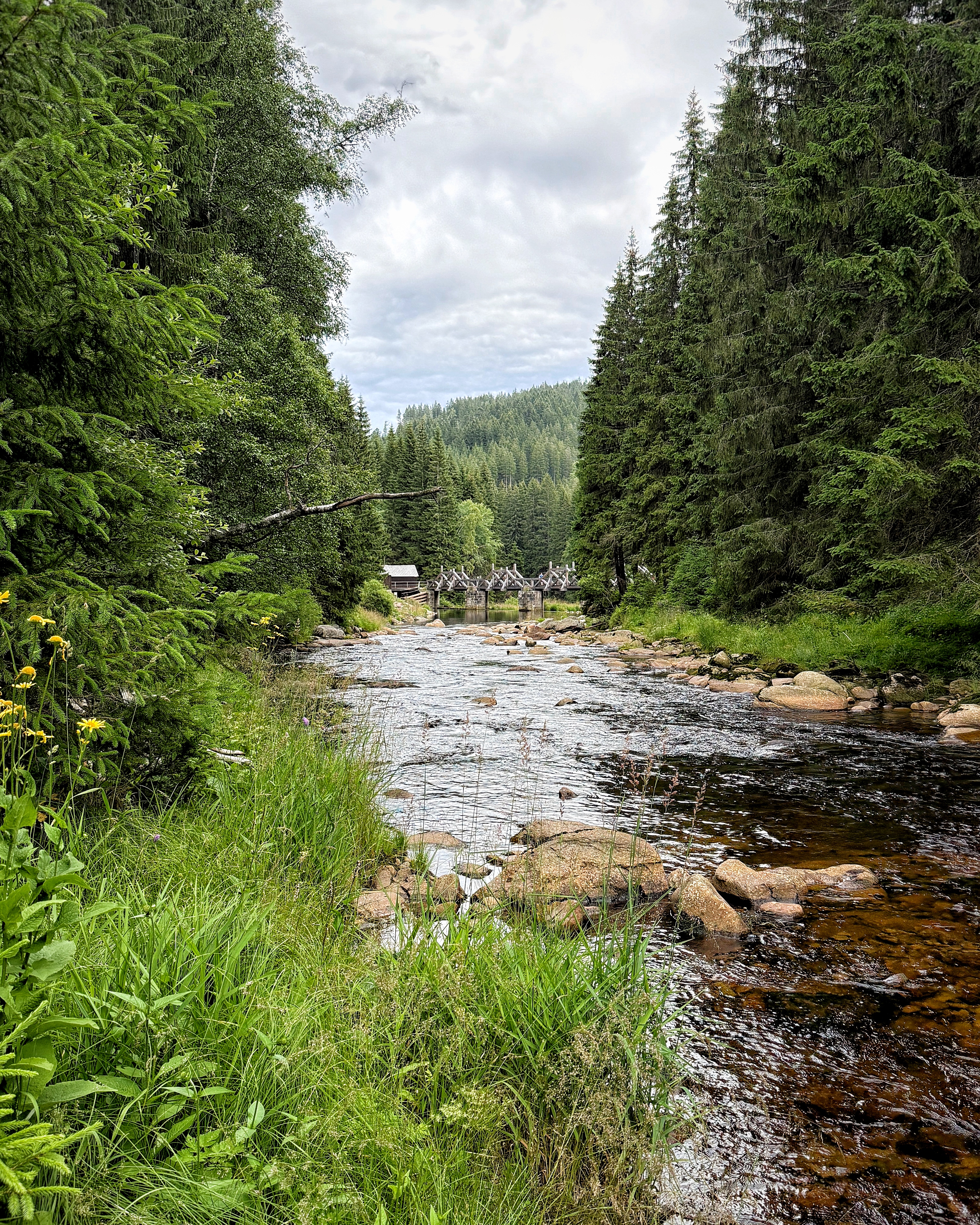 Modrava Vydra Šumava