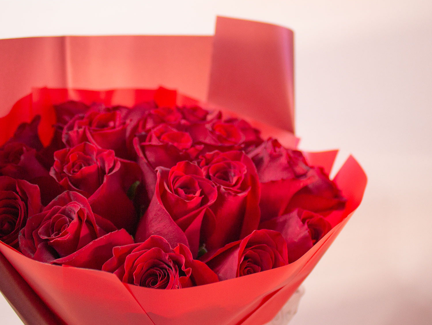 5 ocasiones para sorprender con un ramo de rosas rojas, Florería Rosalinda,  Florería Rosalinda