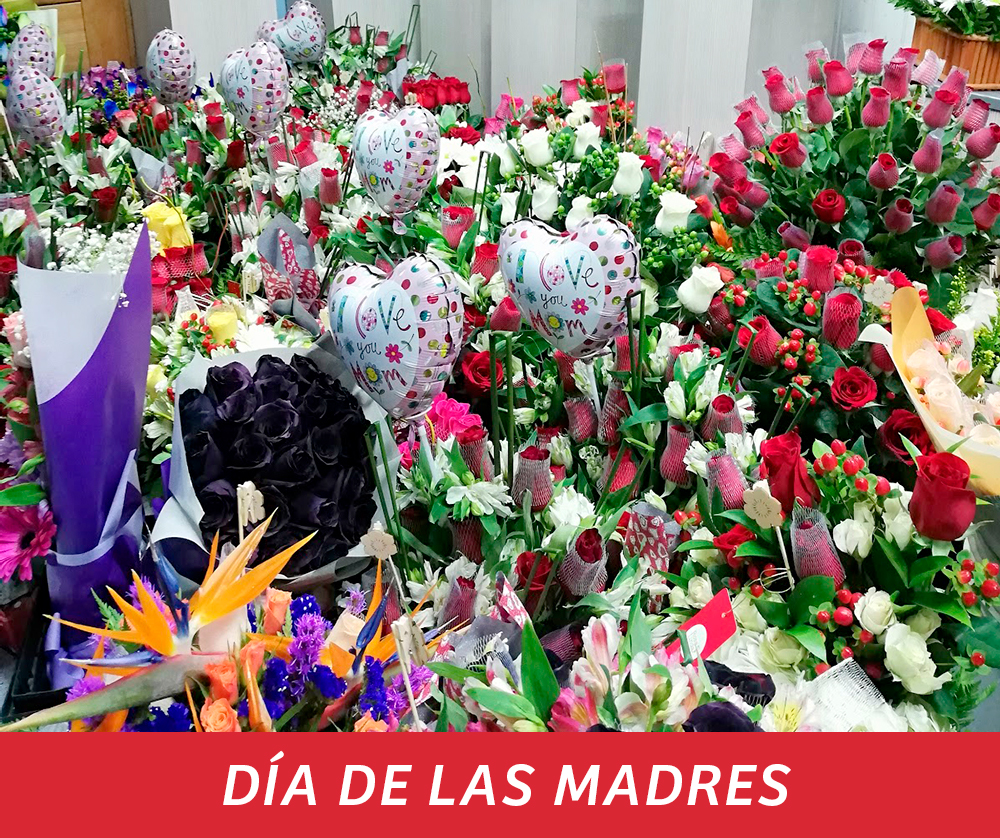 Día de las madres en Florería Rosalinda Día de las madres en Florería Rosalinda