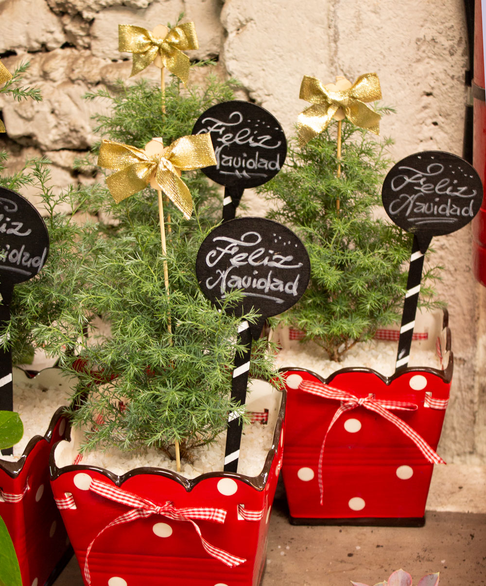 Regala flores para esta Navidad