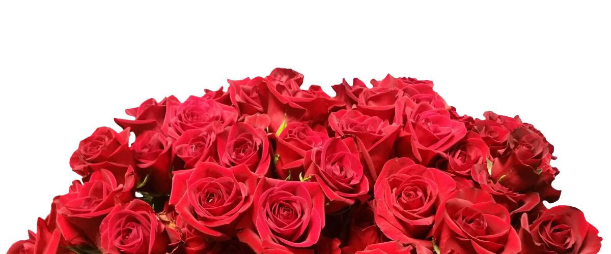 Especial Diseño de Globos San Valentín con 6 Rosas Rojas