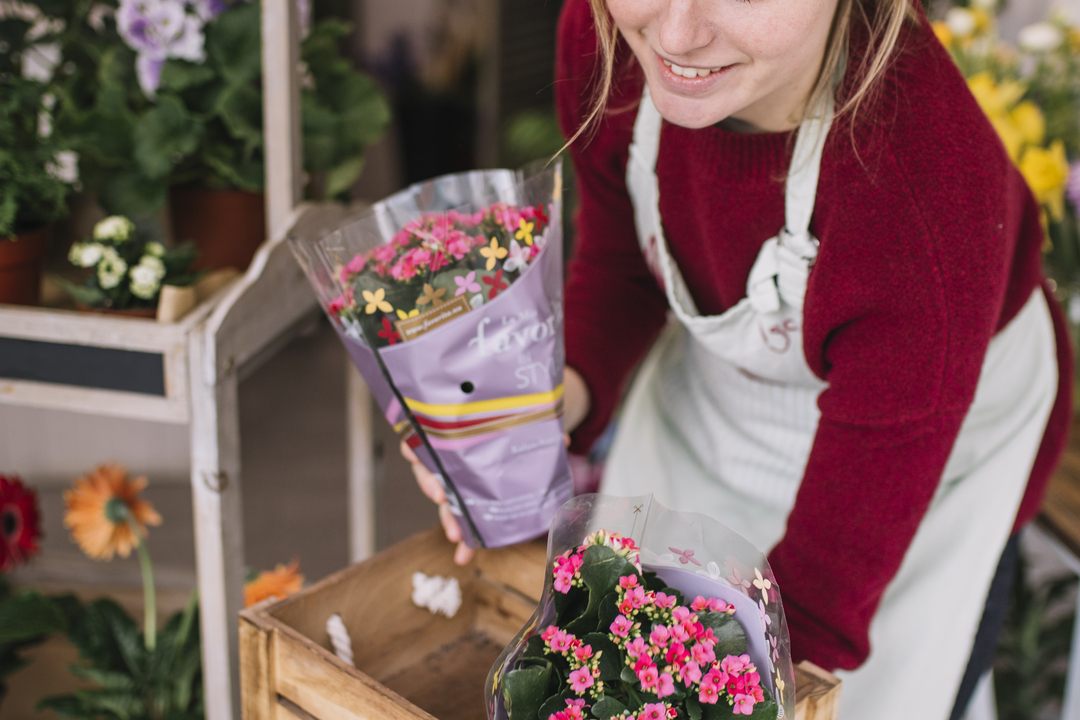 Beneficios de Comprar Flores por Internet en Temporada Alta Beneficios de Comprar Flores por Internet en Temporada Alta