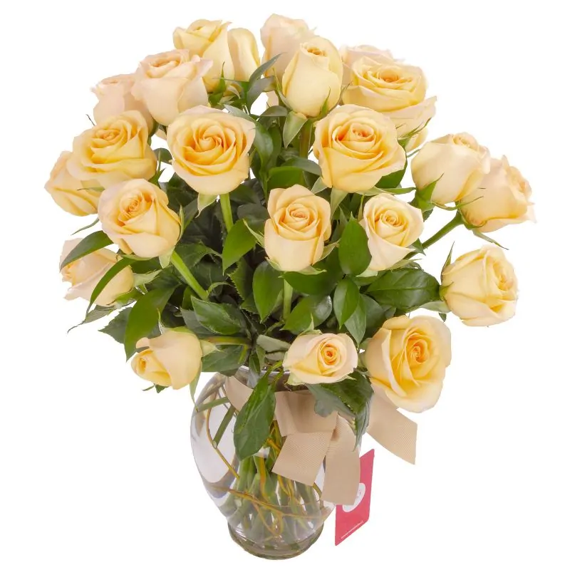 Foto 2 Amparo - Florero ánfora con 24 rosas damasco