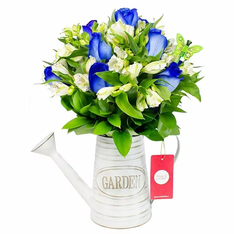 Amor Azul en Regadera - Arreglo floral en regadera de metal envejecida con rosas azules y astromelias