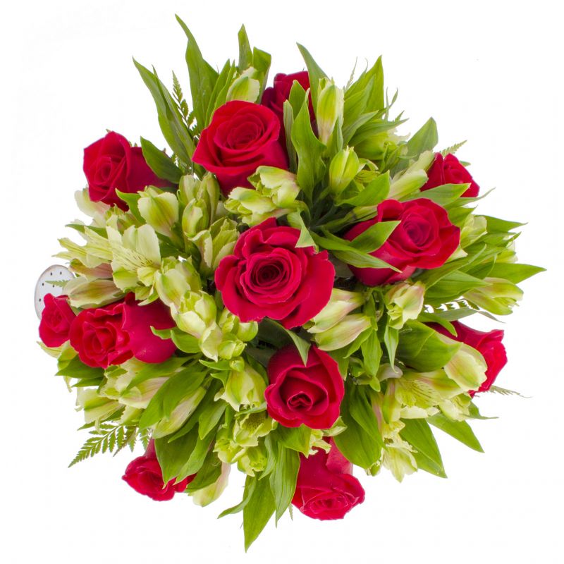 Foto 4 Amor Rojo en Regadera - Flores a domicilio Foto 4 Amor Rojo en Regadera - Flores a domicilio