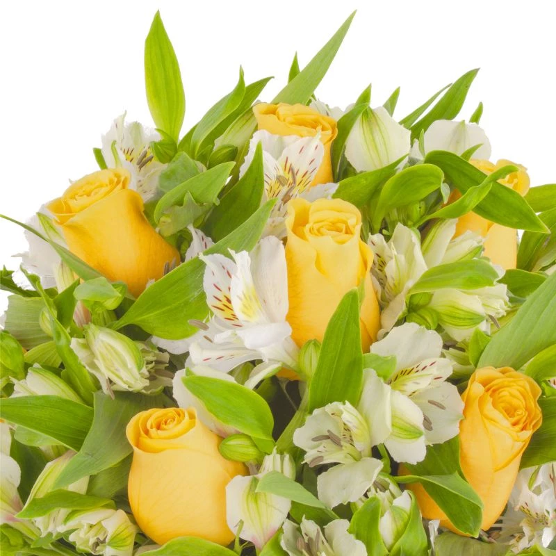 Foto 5 Amor Amarillo en Regadera - Arreglo floral en regadera de metal envejecida con rosas amarillas y astromelias