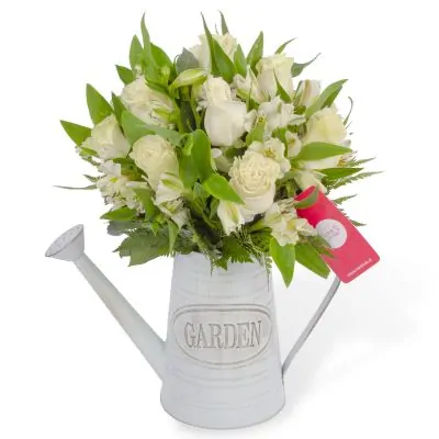 Amor Blanco en Regadera - Arreglo floral en regadera de metal envejecida con rosas blancas y astromelias