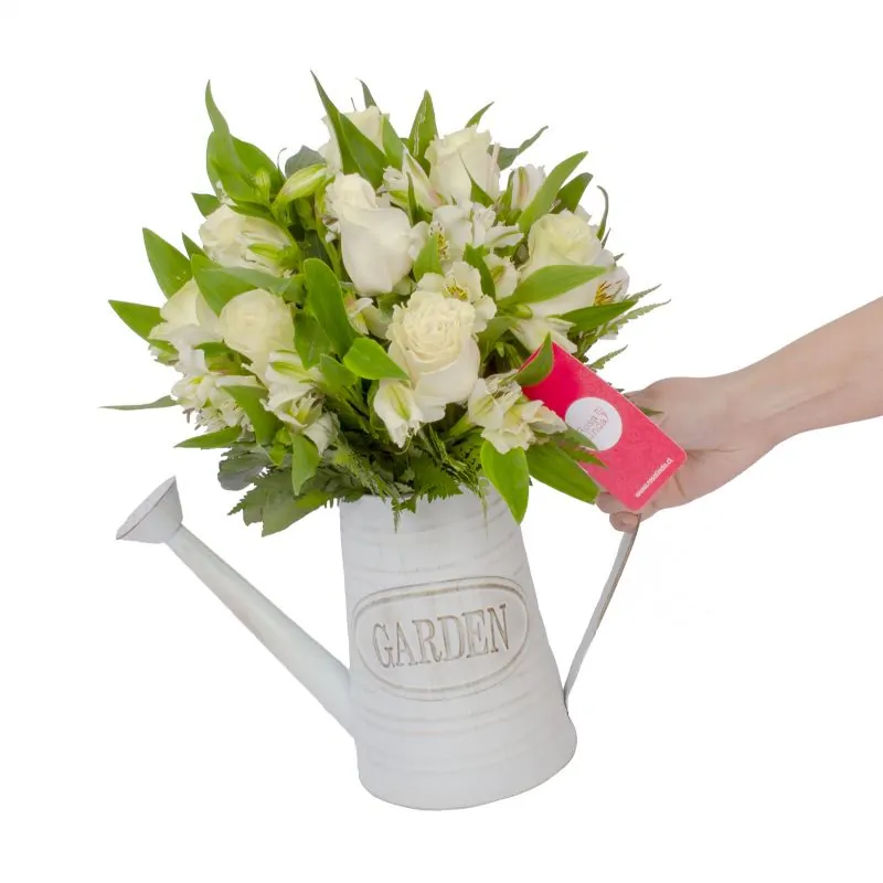 Foto 3 Amor Blanco en Regadera - Arreglo floral en regadera de metal envejecida con rosas blancas y astromelias