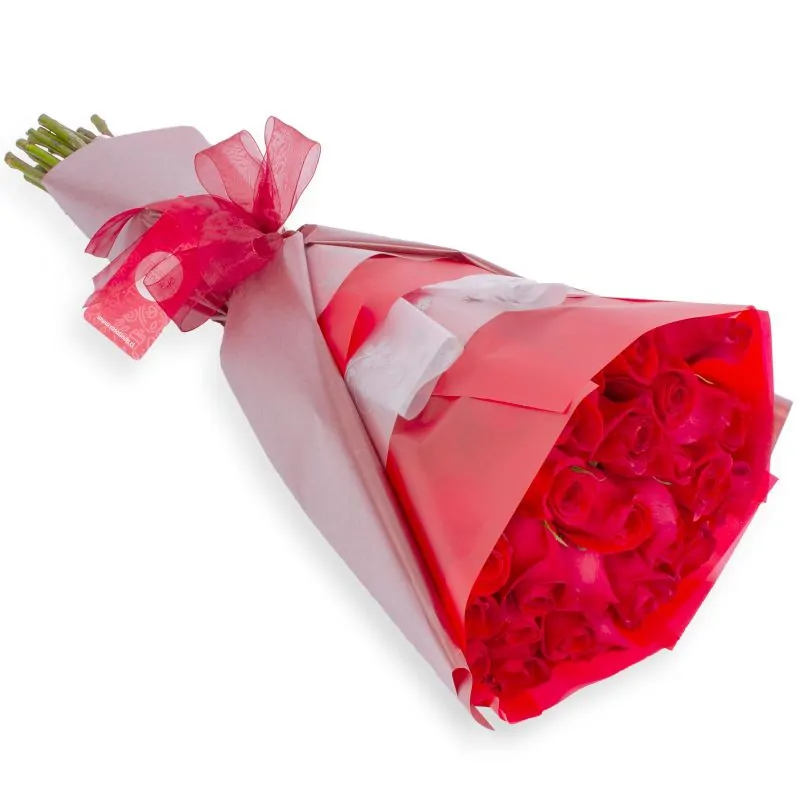 Ramo de rosas - Ramo circular con 24 rosas ecuatorianas rojas