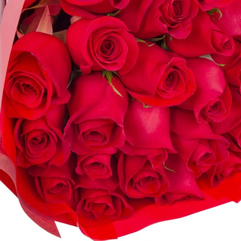 Foto 5 Ramo de rosas - Ramo circular con 24 rosas ecuatorianas rojas