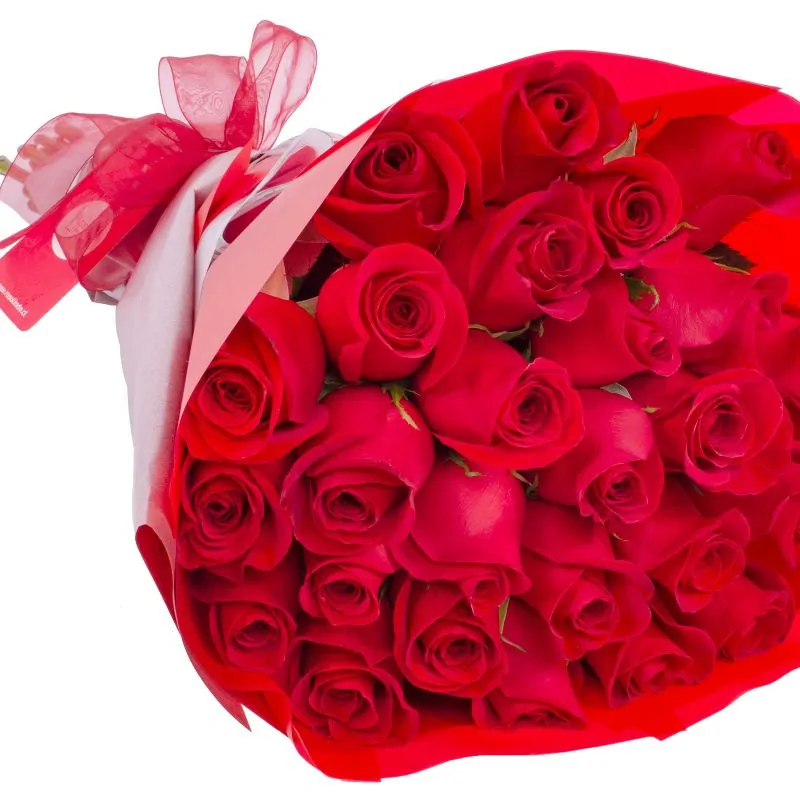 Foto 4 Ramo de rosas - Ramo circular con 24 rosas ecuatorianas rojas