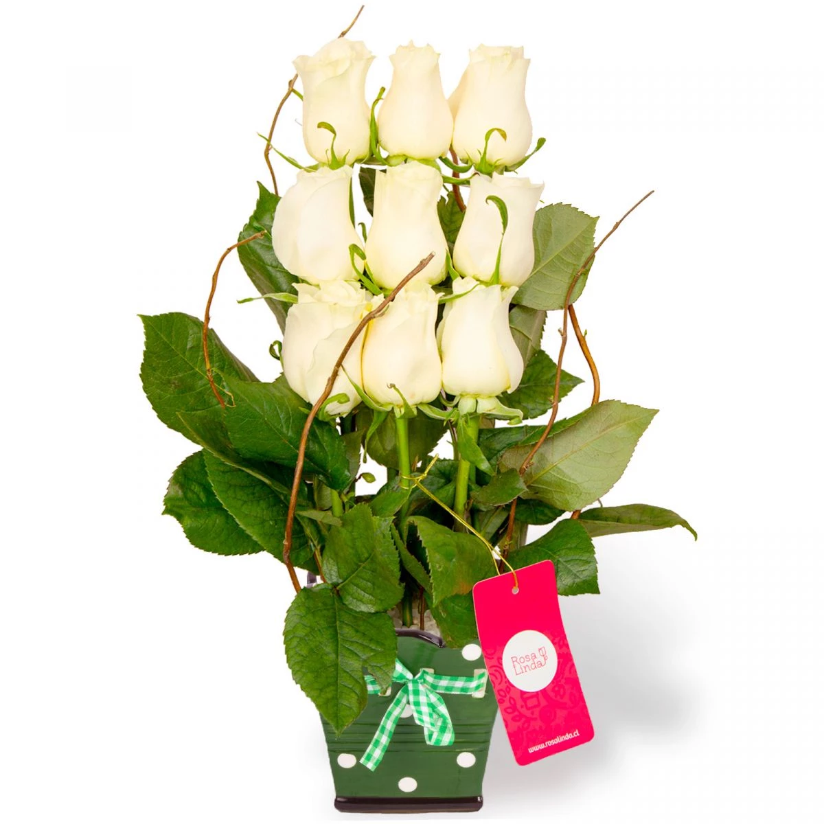 Foto principal Aurora blanco - Arreglo floral con 9 rosas ecuatorianas blancas