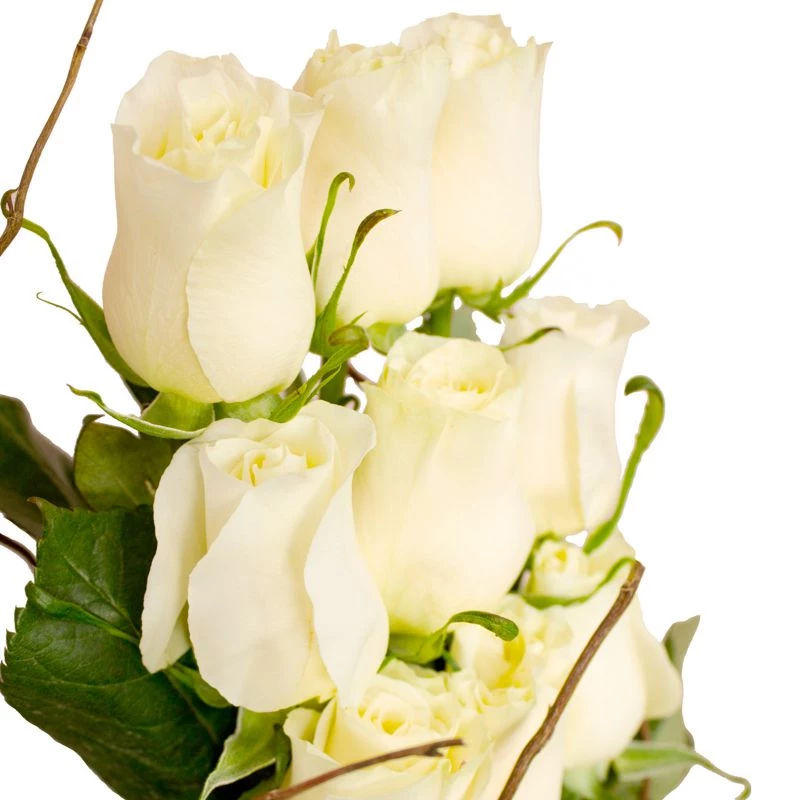 Foto 4 Aurora blanco - Arreglo floral con 9 rosas ecuatorianas blancas