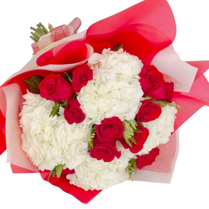 Foto 4 Ramo de Hortensias - Ramo circular con Hortensias blancas y rosas ecuatorianas rojas