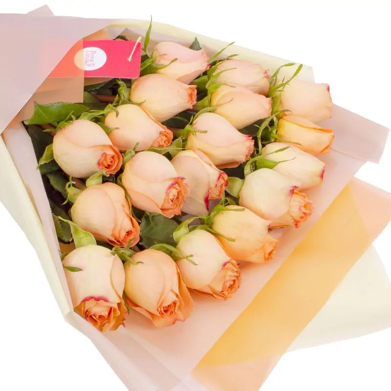 Foto 5 Ramo de Rosas - Ramo extendido con 18 rosas damasco
