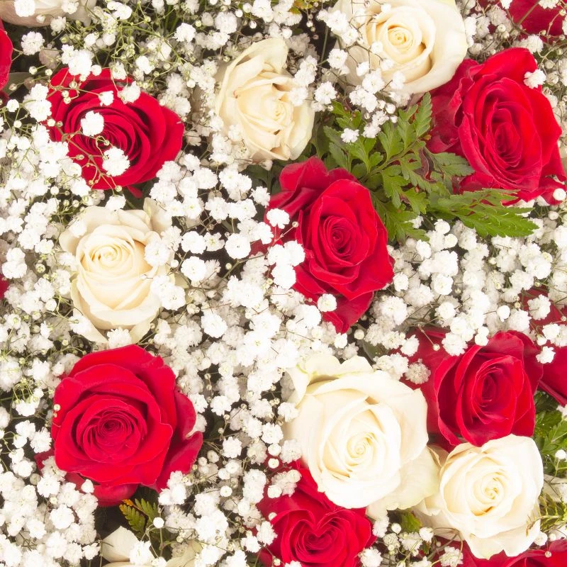 Foto 5 Por Siempre - Corona de condolencias con rosas blancas, rosas rojas y gypsophilas
