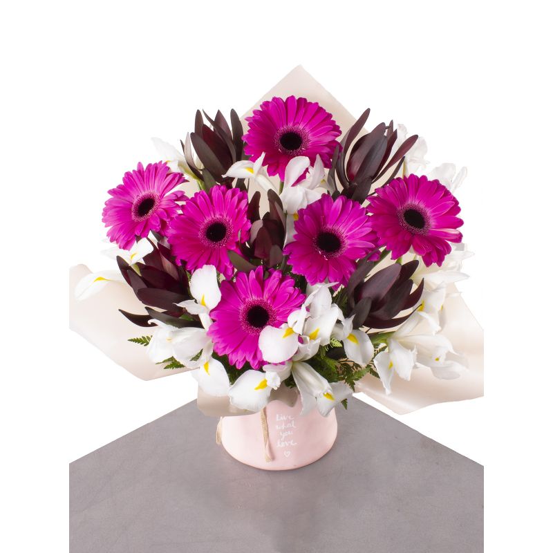 Flores a domicilio - Arreglo de Gerberas Fucsia, Iris y Leucadentro Flores a domicilio - Arreglo de Gerberas Fucsia, Iris y Leucadentro