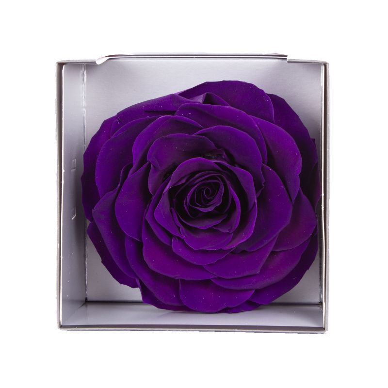 Flores a domicilio - Rosa Natural Preservada Morada Flores a domicilio - Rosa Natural Preservada Morada