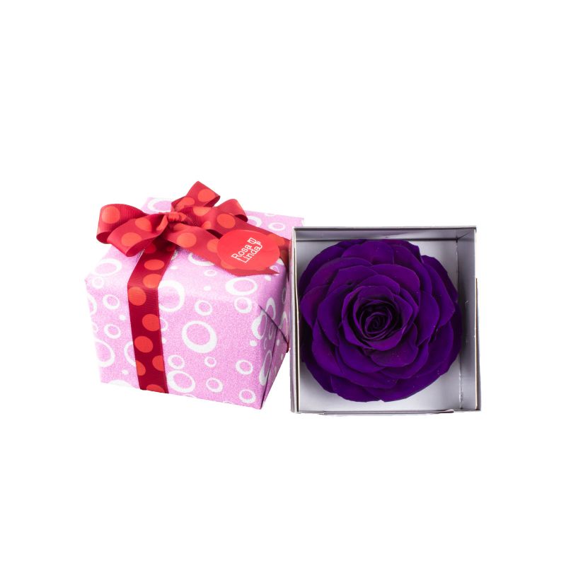 Foto 4 Rosa Natural Preservada Morada - Flores a domicilio Foto 4 Rosa Natural Preservada Morada - Flores a domicilio