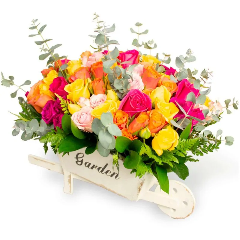 Amanecer Jardín Multicolor - Arreglo floral en carretilla de madera con minirosas fucsias, rosadas, amarillas y naranjas