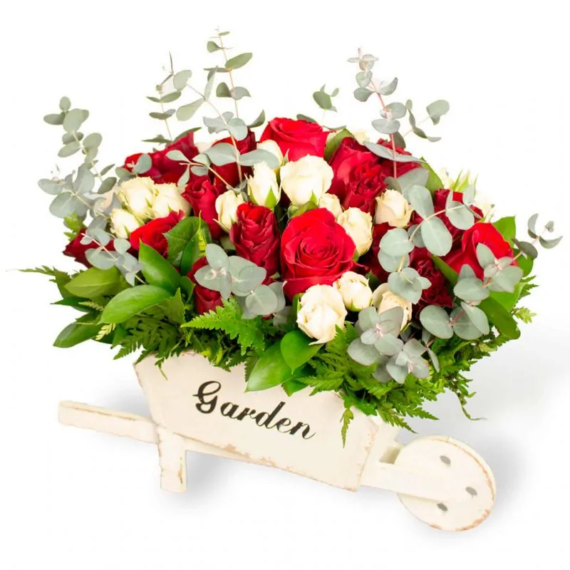 Amanecer Jardín Rojo - Arreglo floral en carretilla de madera con minirosas rojas y blancas