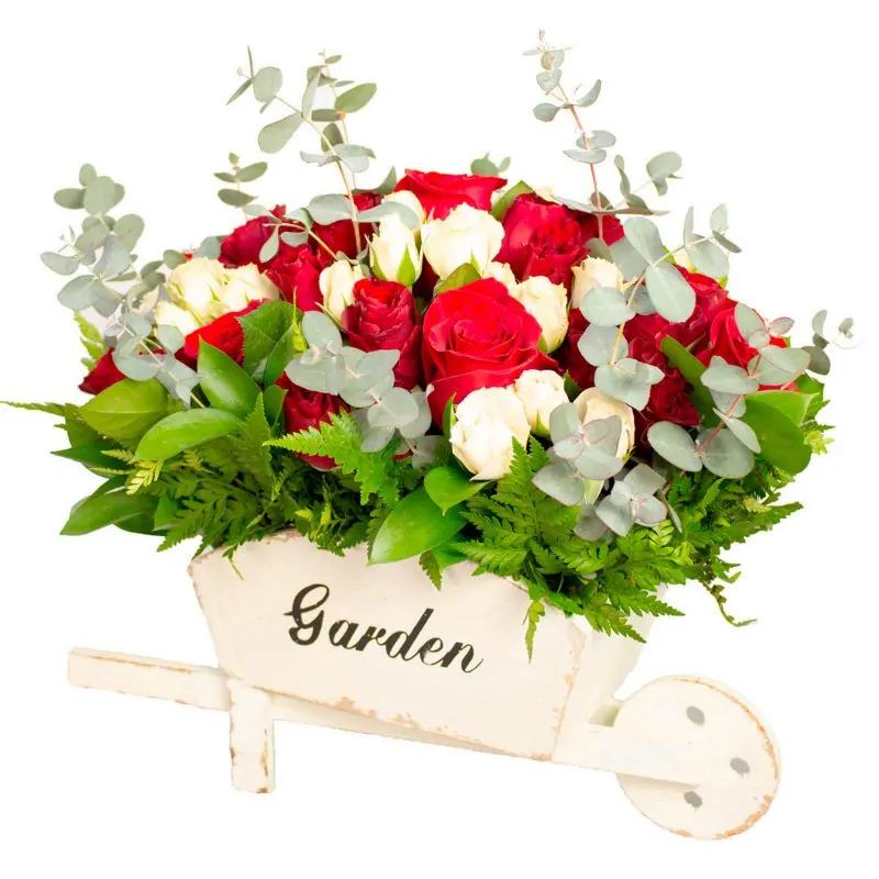Foto 4 Amanecer Jardín Rojo - Arreglo floral en carretilla de madera con minirosas rojas y blancas