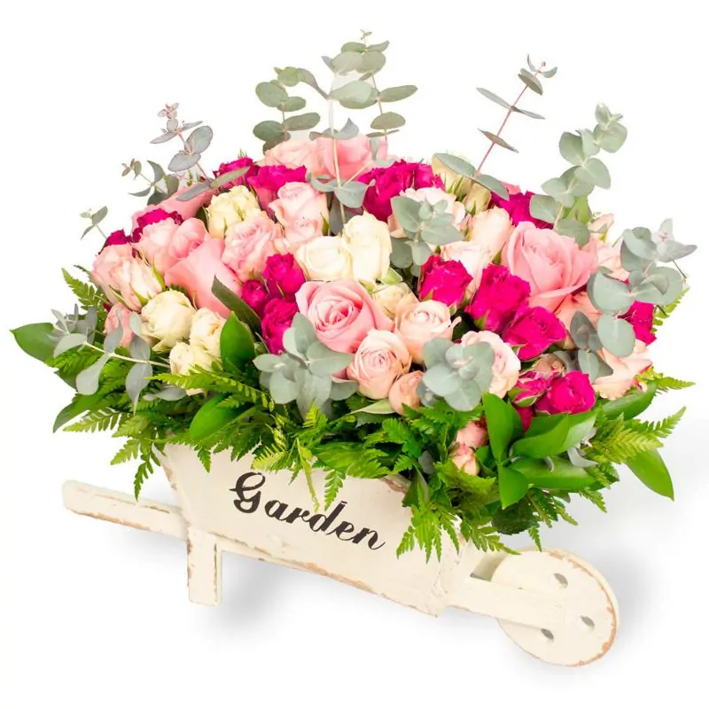 Amanecer Jardín Rosado - Arreglo floral en carretilla de madera con minirosas fucsias, rosadas y blancas