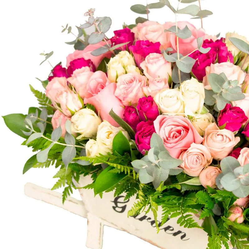 Foto 4 Amanecer Jardín Rosado - Arreglo floral en carretilla de madera con minirosas fucsias, rosadas y blancas