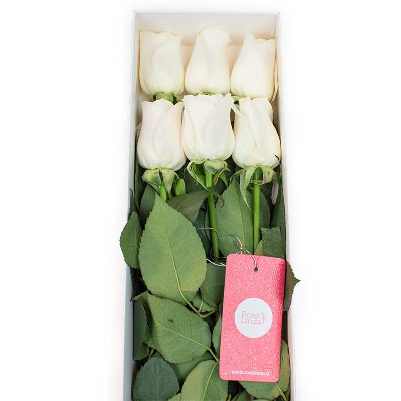 Flores a domicilio - Caja con 6 rosas blancas Flores a domicilio - Caja con 6 rosas blancas
