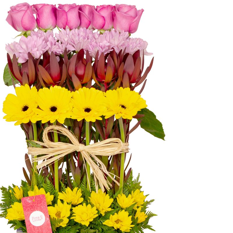 Foto 4 Estelita Gerberas Amarillas - Flores a domicilio Foto 4 Estelita Gerberas Amarillas - Flores a domicilio