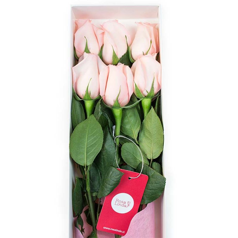 Flores a domicilio - Caja con 6 rosas Rosadas Flores a domicilio - Caja con 6 rosas Rosadas